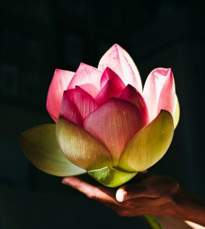 olga-nayda-B9A34y-wnrs-unsplash