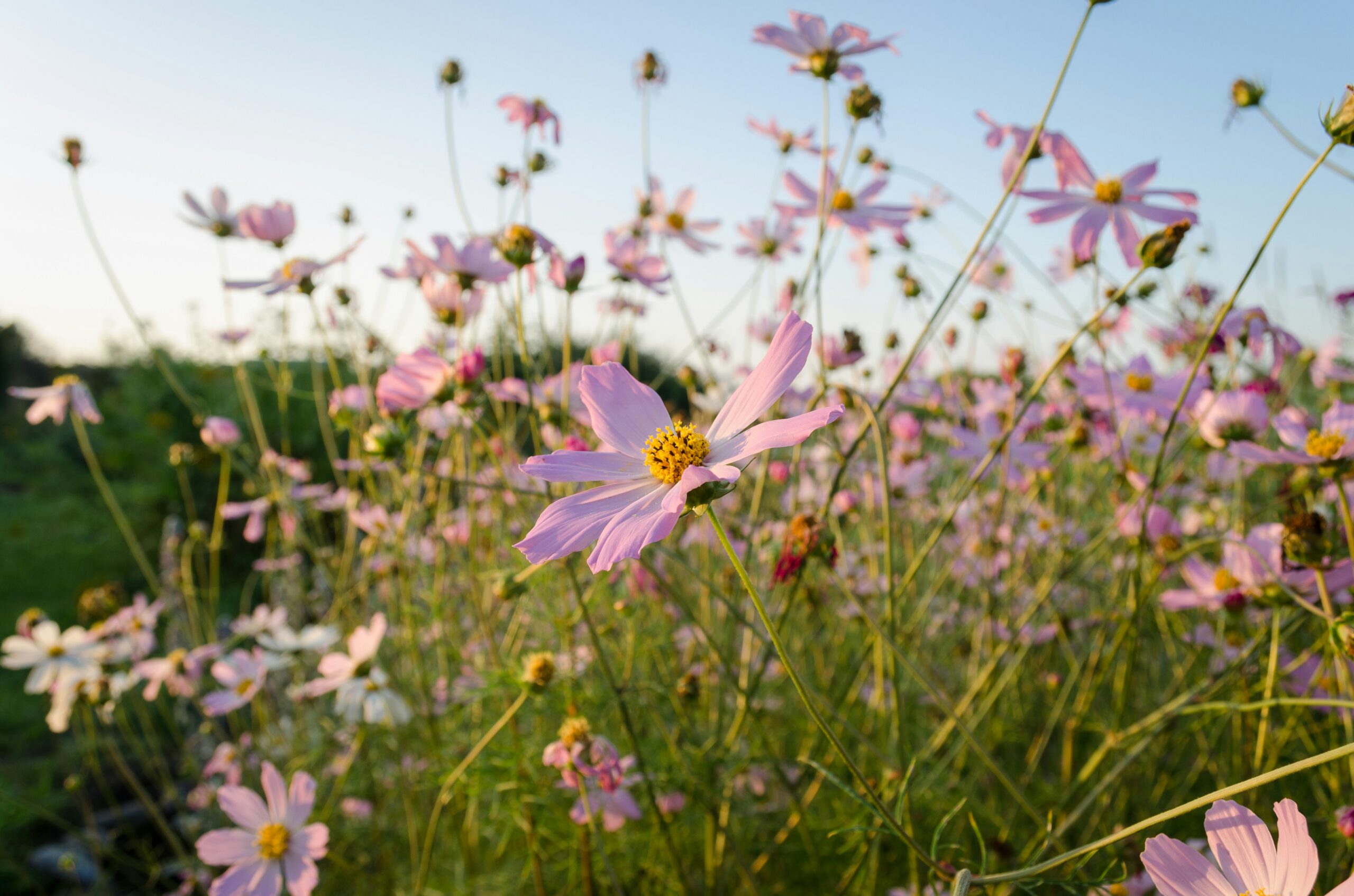 unknown-unnamed-CSbLHHFlEwU-unsplash unknown-unnamed-CSbLHHFlEwU-unsplash